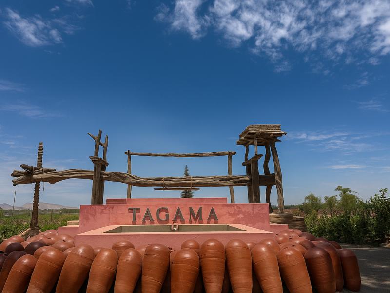 Huacachina Wine & Pisco Tour with Dune Buggy Adventure